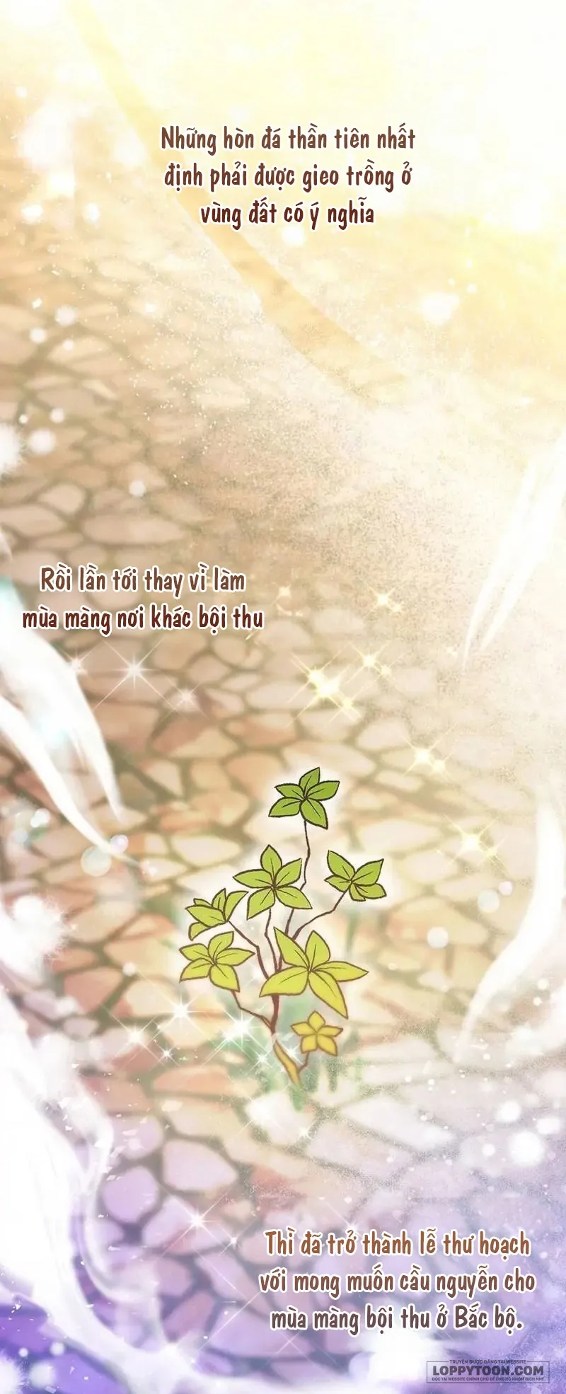 Sóc Con Tài Năng - Chap 54 - Trang 24