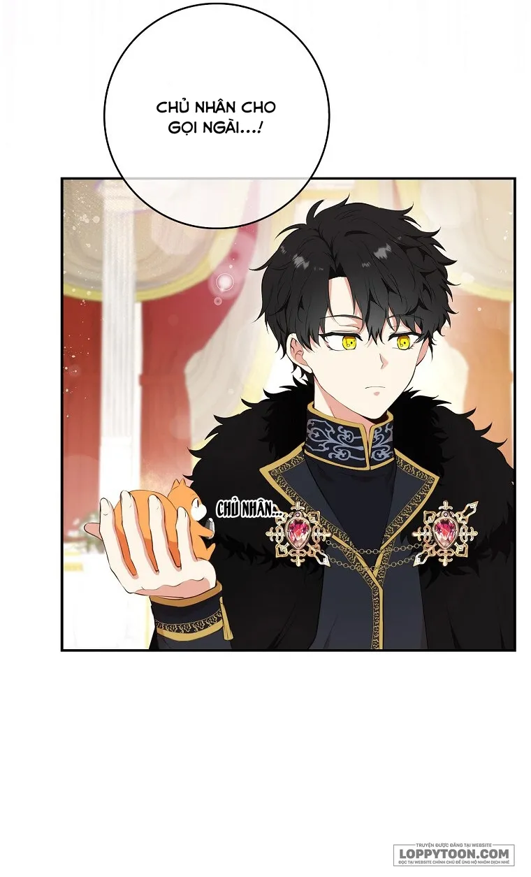 Sóc Con Tài Năng - Chap 6 - Trang 4