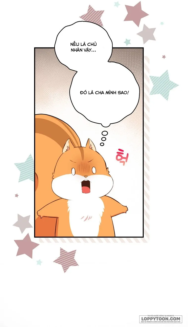 Sóc Con Tài Năng - Chap 6 - Trang 5