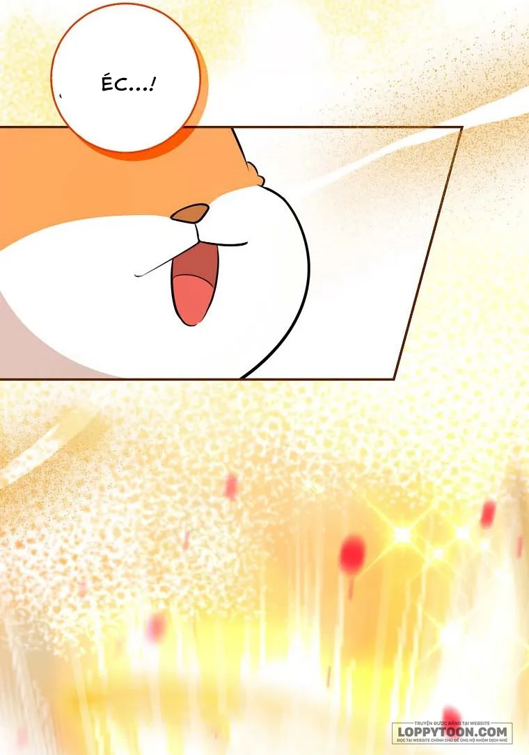 Sóc Con Tài Năng - Chap 62 - Trang 24
