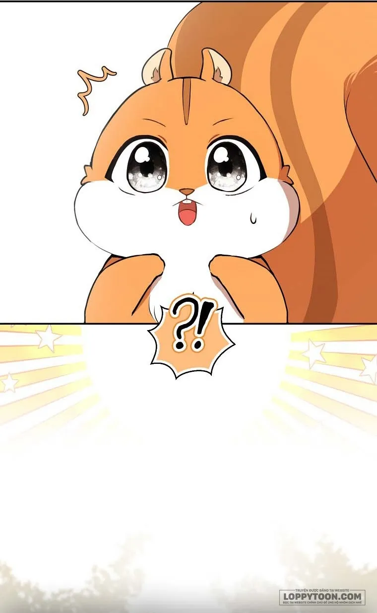 Sóc Con Tài Năng - Chap 62 - Trang 27