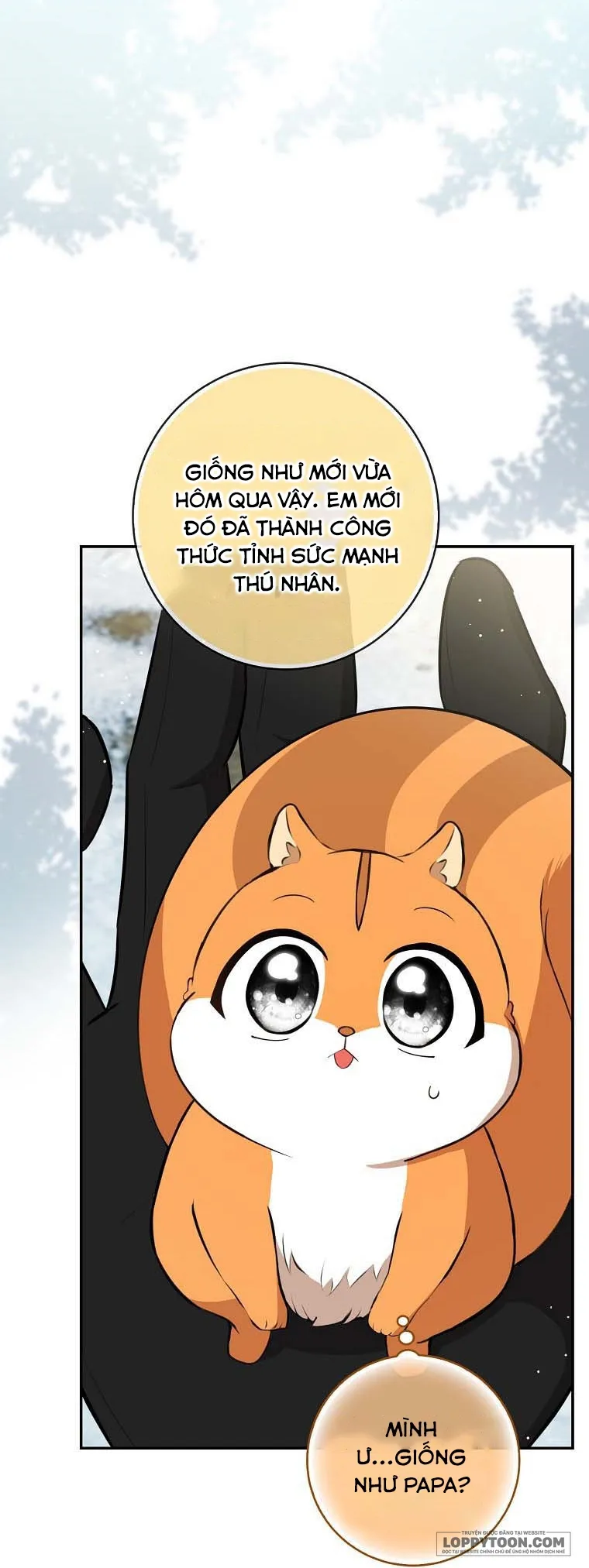Sóc Con Tài Năng - Chap 62 - Trang 32