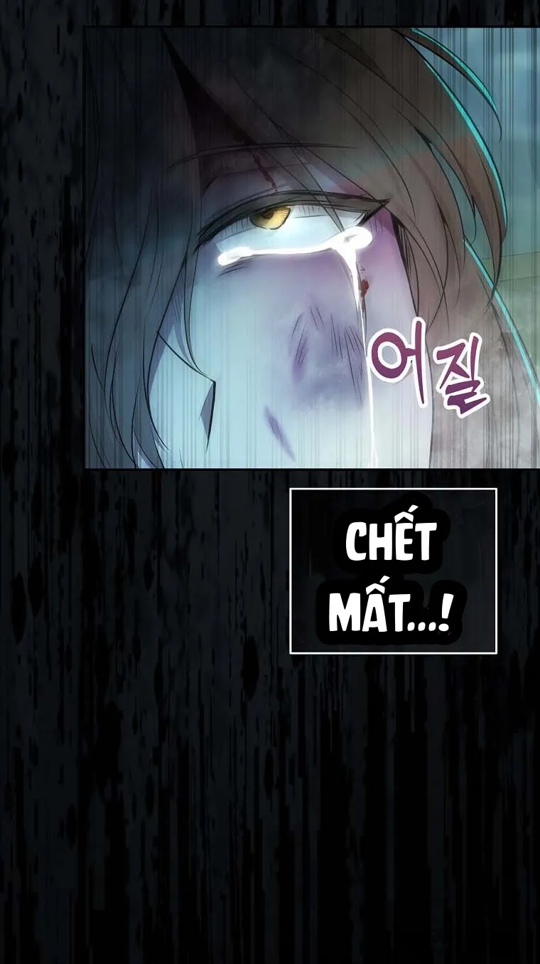 Sóc Con Tài Năng - Chap 65 - Trang 45