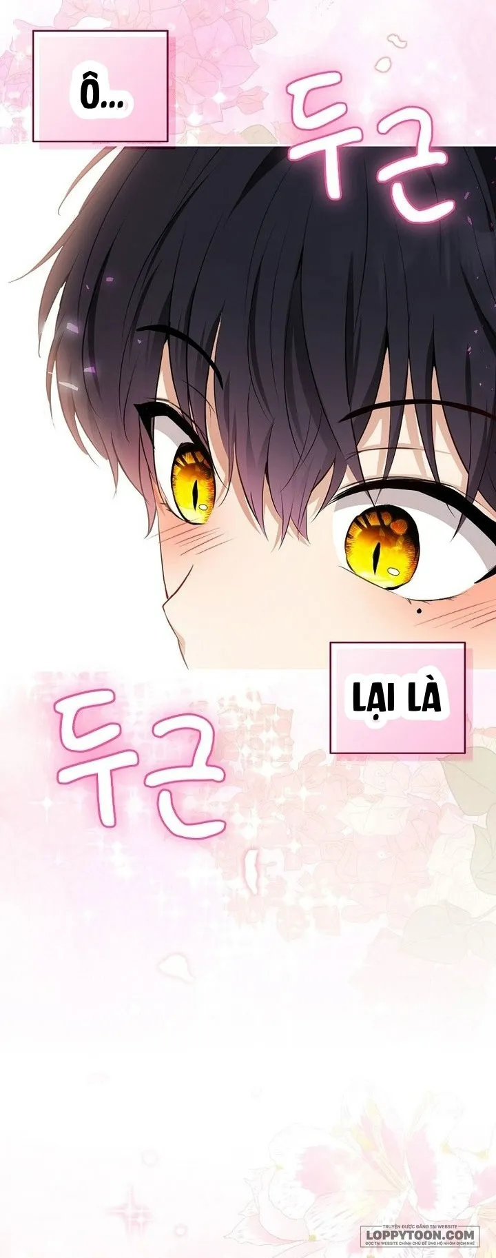 Sóc Con Tài Năng - Chap 68 - Trang 41