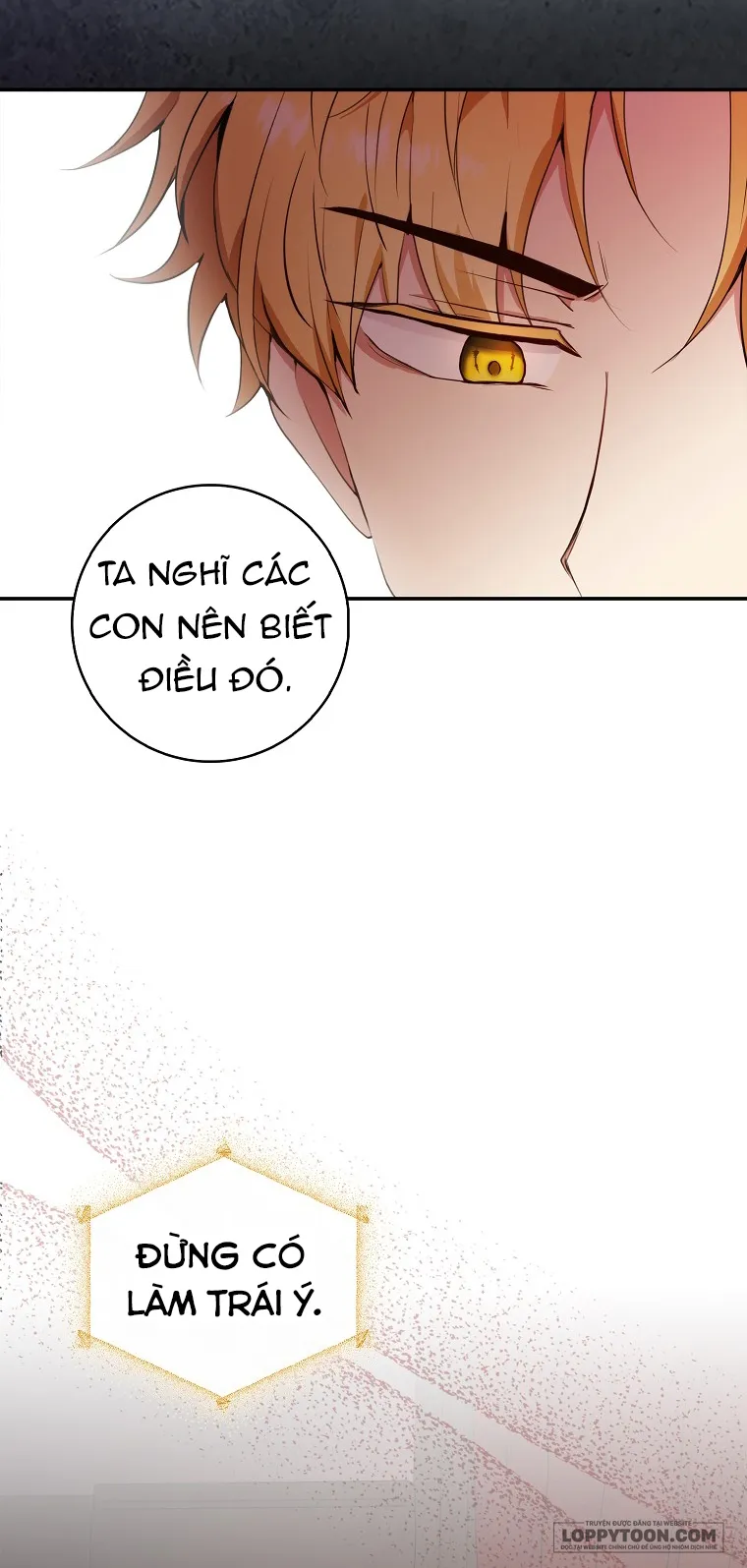 Sóc Con Tài Năng - Chap 7 - Trang 31