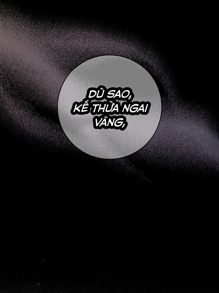 Sóc Con Tài Năng - Chap 70 - Trang 11