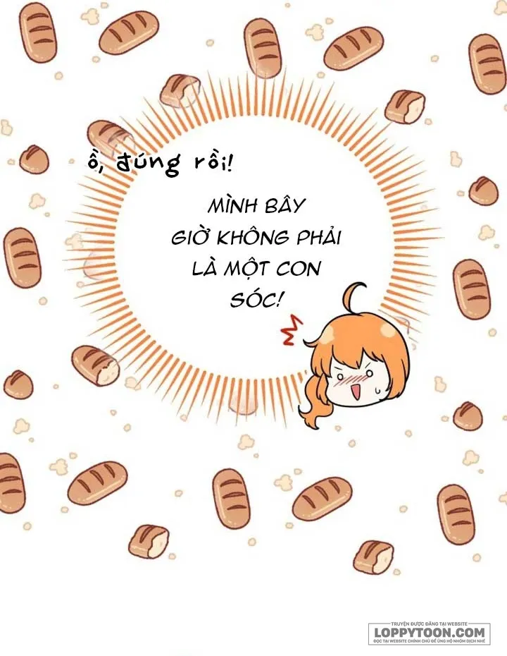 Sóc Con Tài Năng - Chap 72 - Trang 23