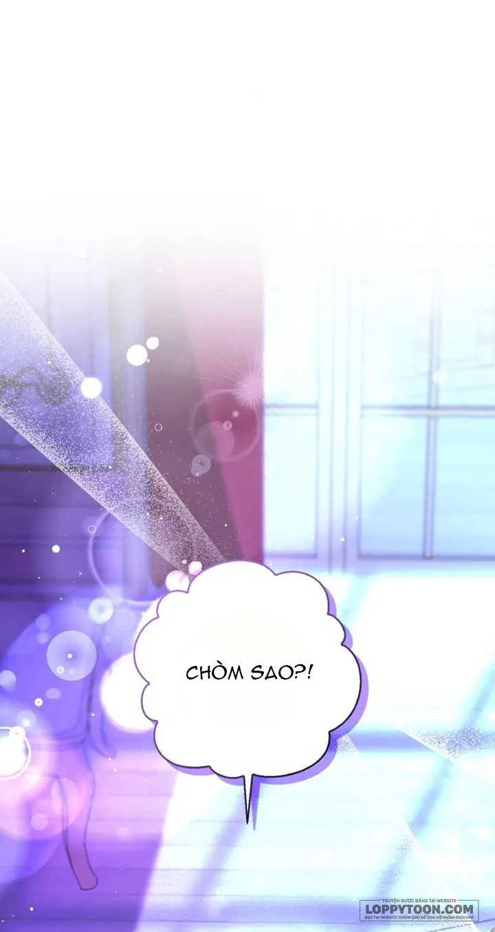 Sóc Con Tài Năng - Chap 74 - Trang 0