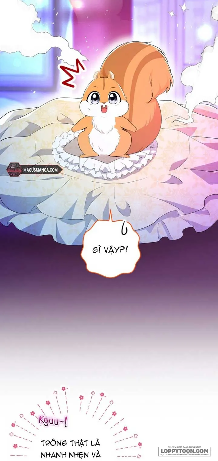 Sóc Con Tài Năng - Chap 74 - Trang 14