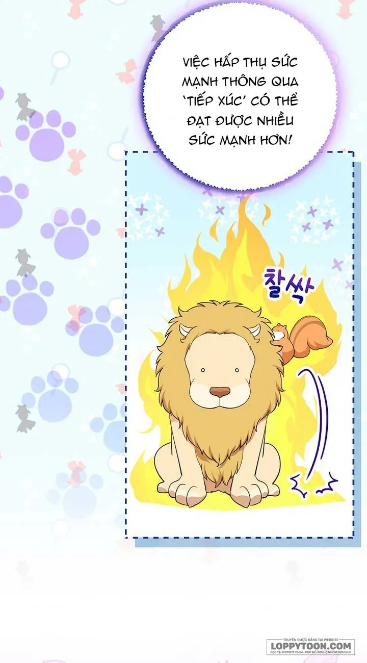 Sóc Con Tài Năng - Chap 75 - Trang 18