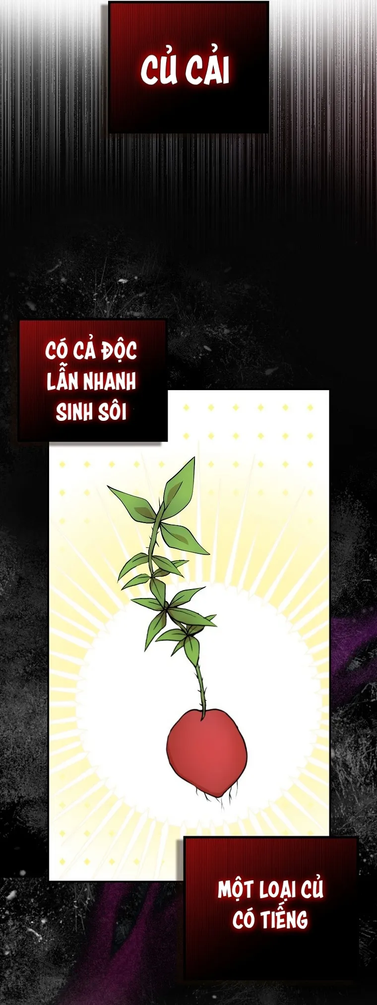 Sóc Con Tài Năng - Chap 8 - Trang 38