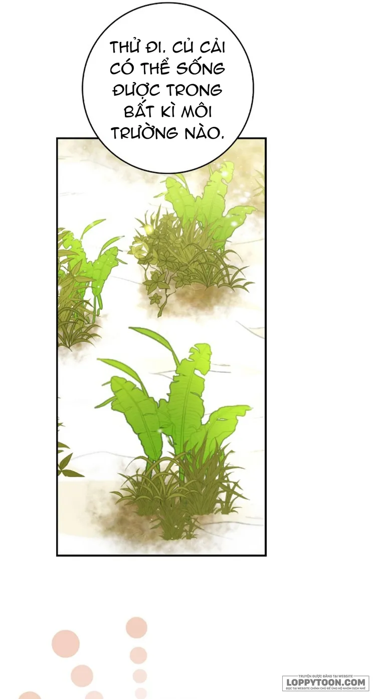 Sóc Con Tài Năng - Chap 8 - Trang 47