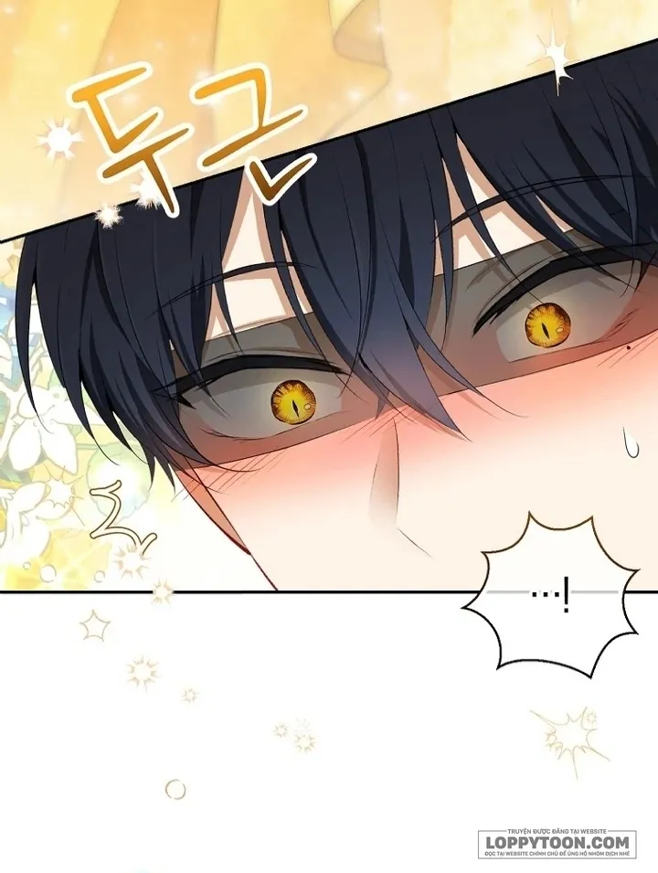 Sóc Con Tài Năng - Chap 84 - Trang 3