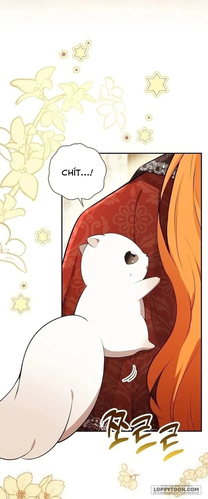Sóc Con Tài Năng - Chap 85 - Trang 50