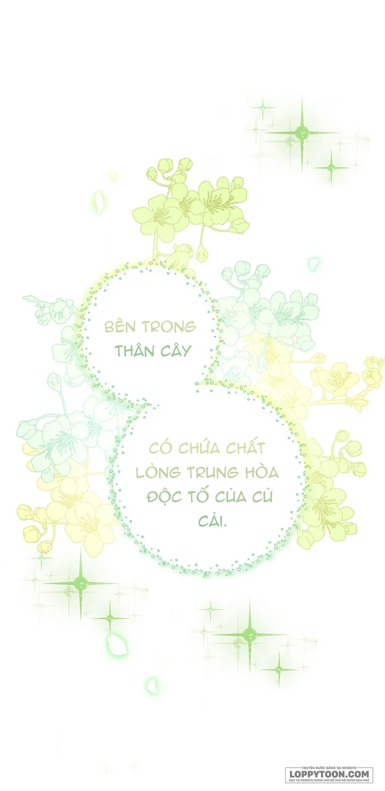 Sóc Con Tài Năng - Chap 9 - Trang 15