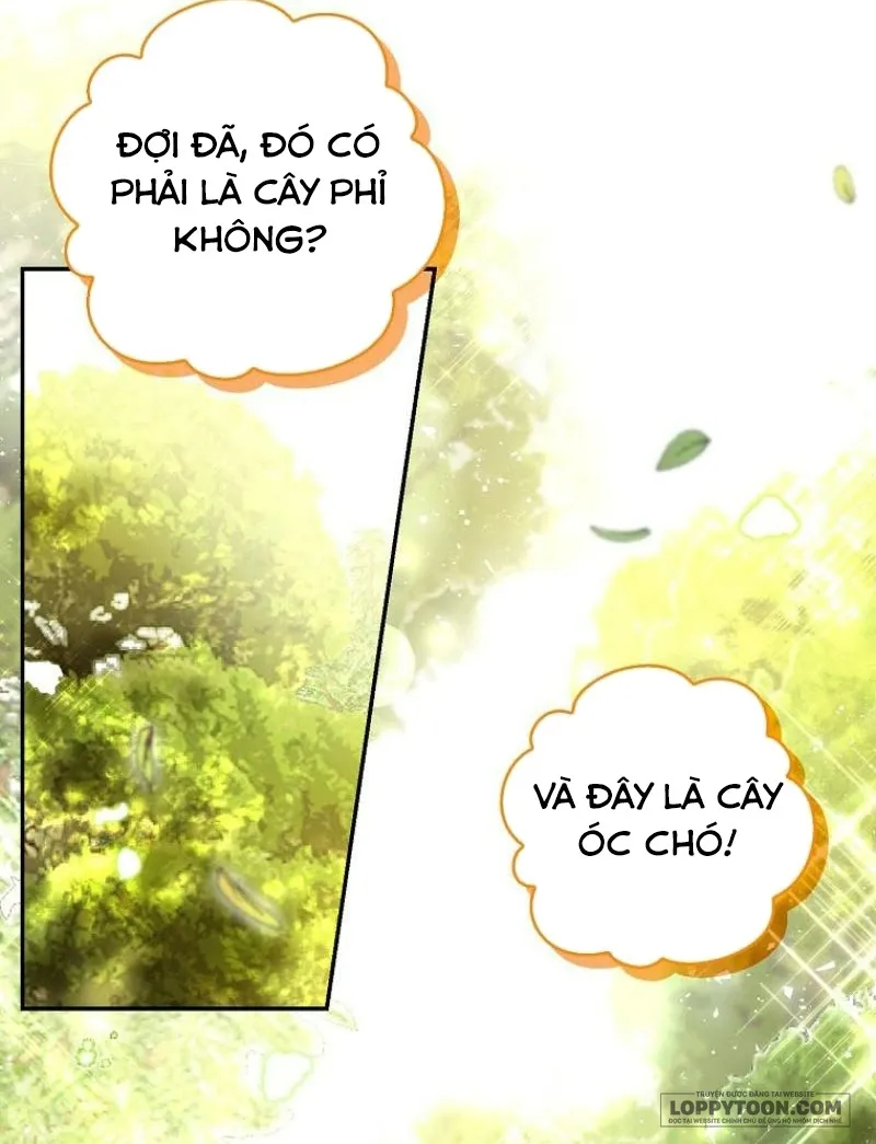 Sóc Con Tài Năng - Chap 91 - Trang 29
