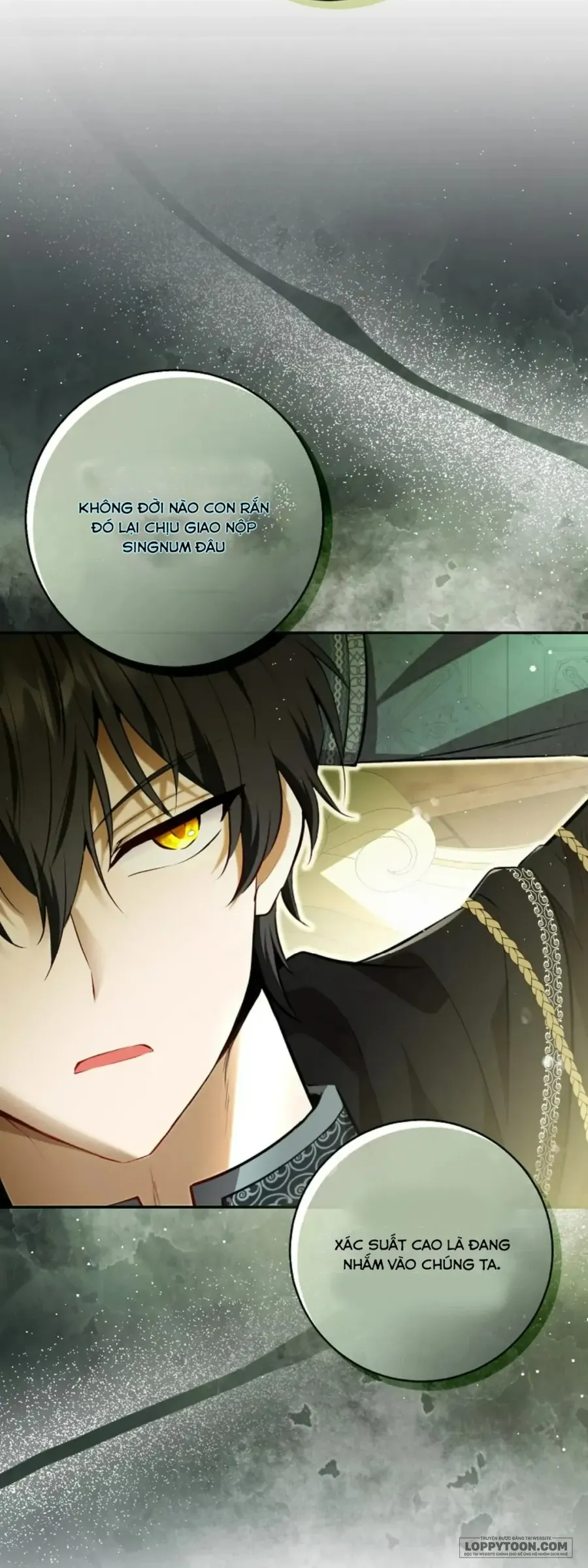 Sóc Con Tài Năng - Chap 92 - Trang 30