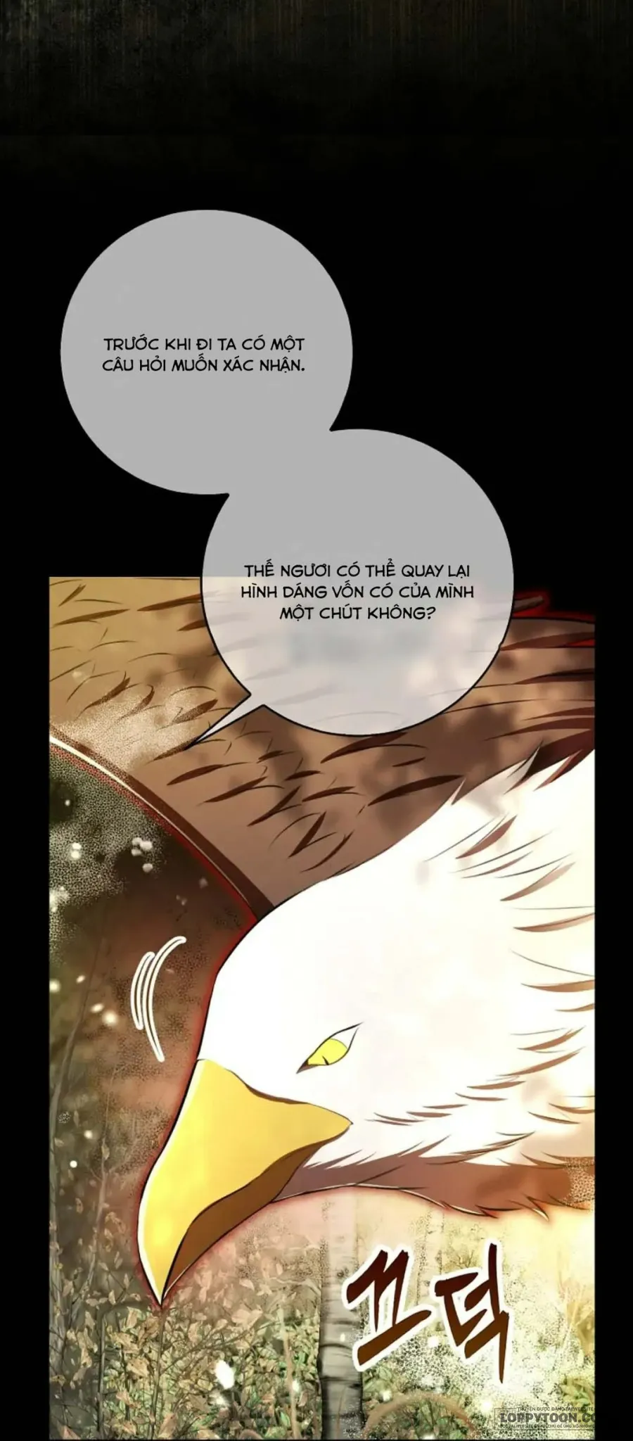 Sóc Con Tài Năng - Chap 96 - Trang 46