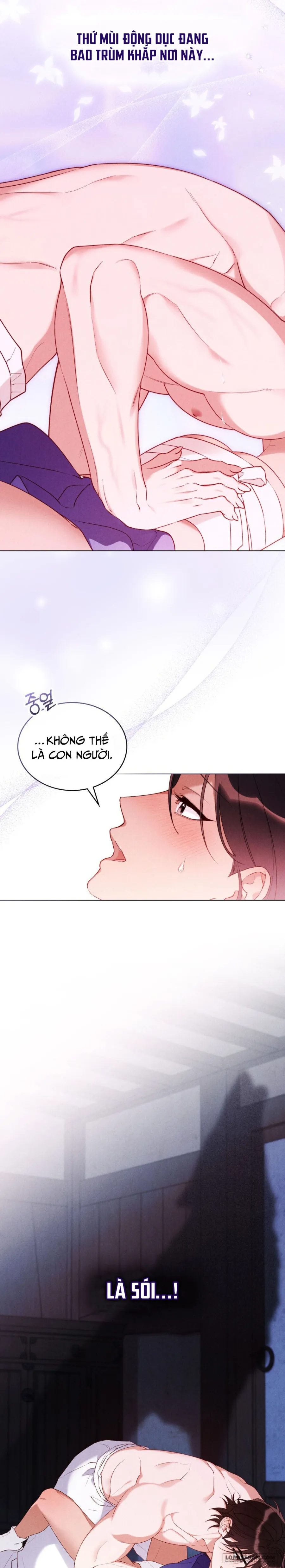 Tân Lang Sói - Chap 1
