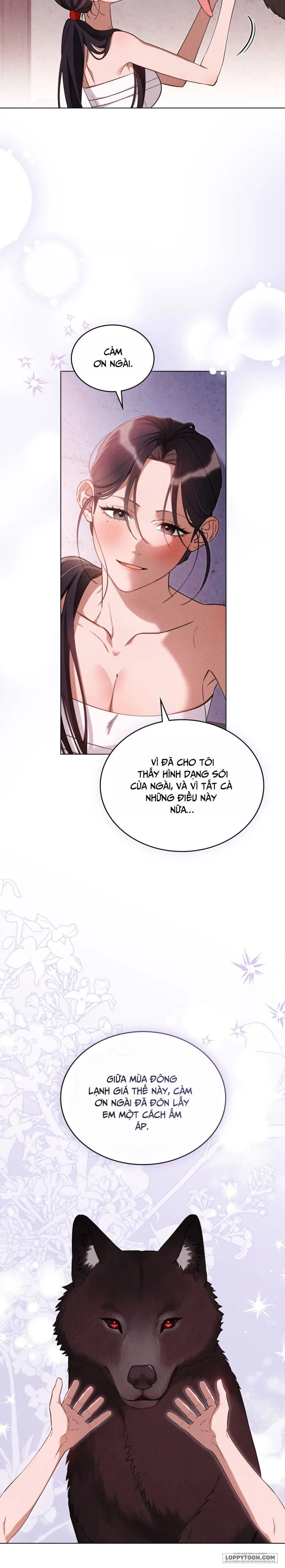 Tân Lang Sói - Chap 16