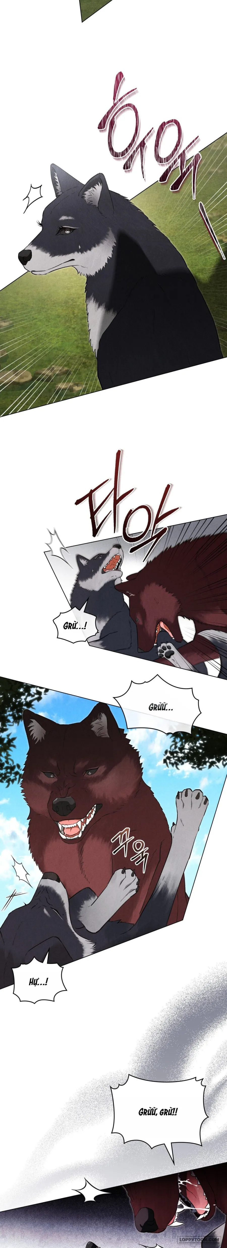 Tân Lang Sói - Chap 17