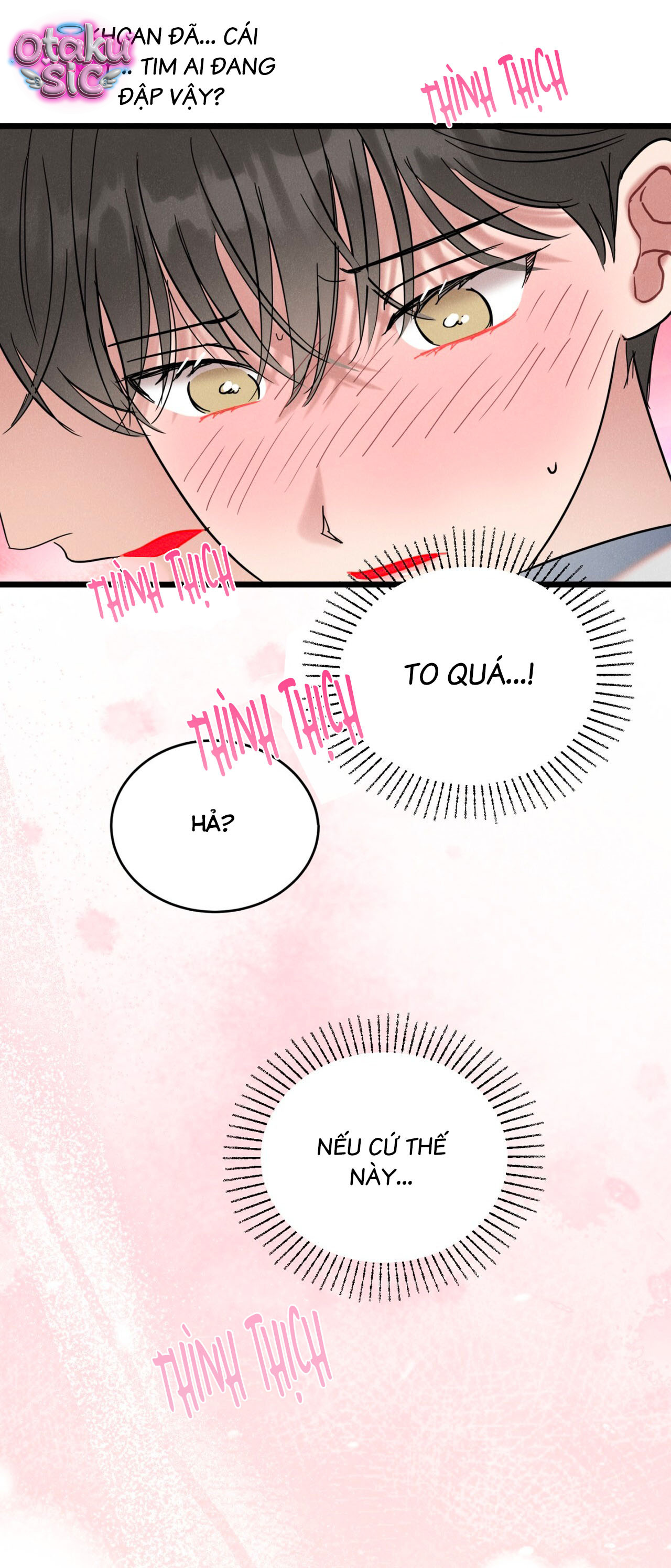 Thần tượng của tôi - Chap 2