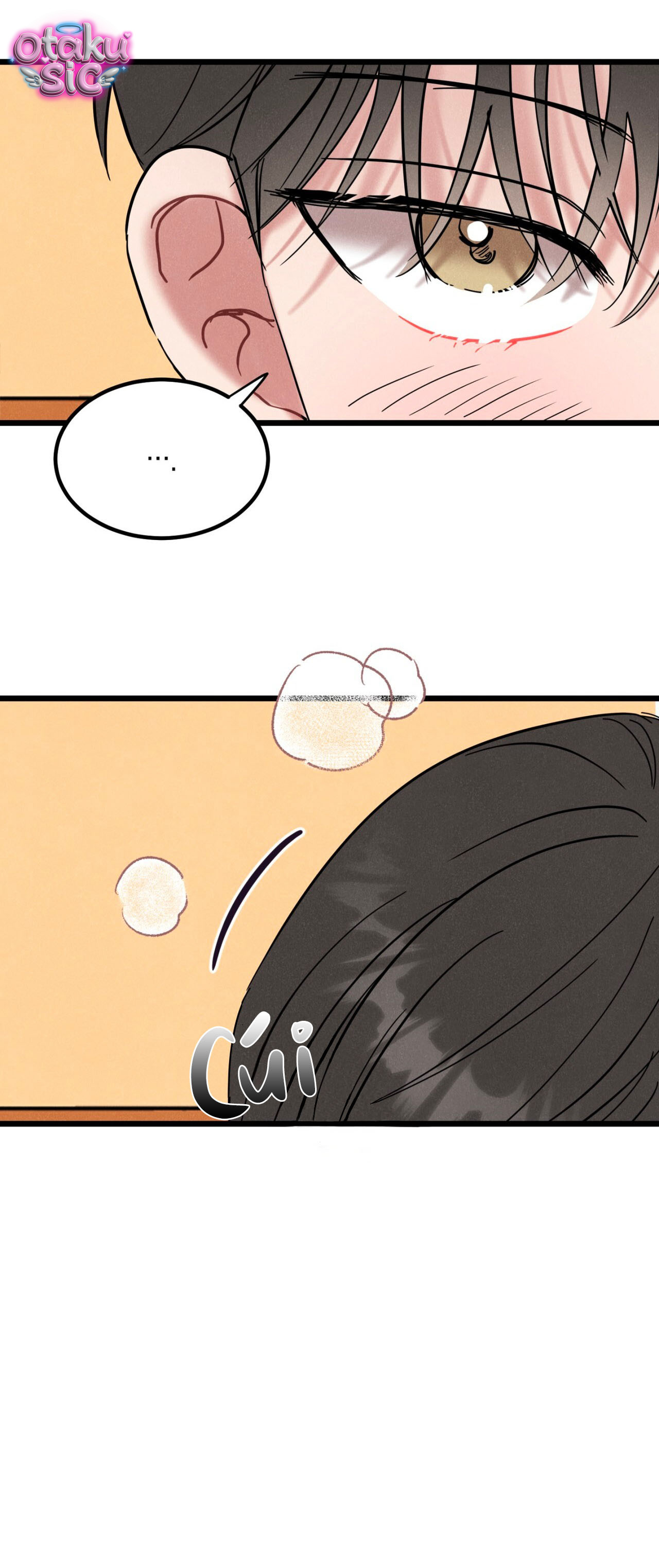 Thần tượng của tôi - Chap 5