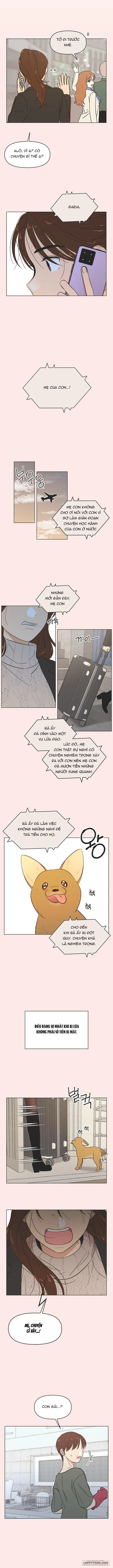 Thanh Xuân Ngọt Ngào - Chap 49 - Trang 5