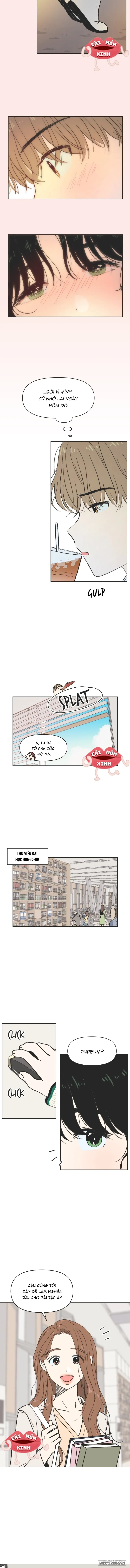 Thanh Xuân Ngọt Ngào - Chap 5 - Trang 7