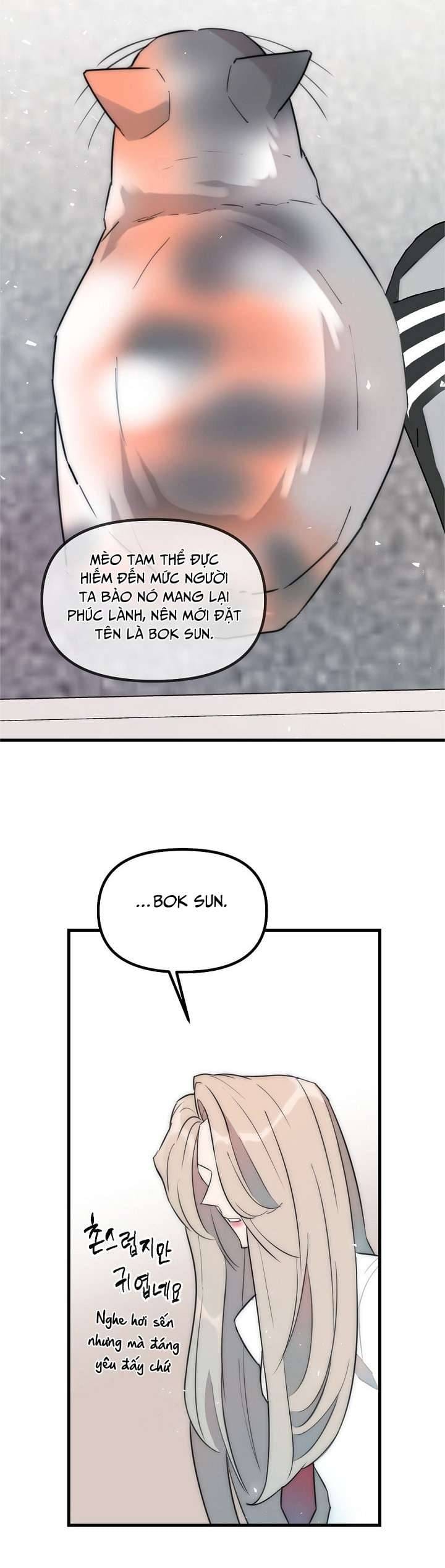 Thầy Giáo Sa Lưới - Chap 8