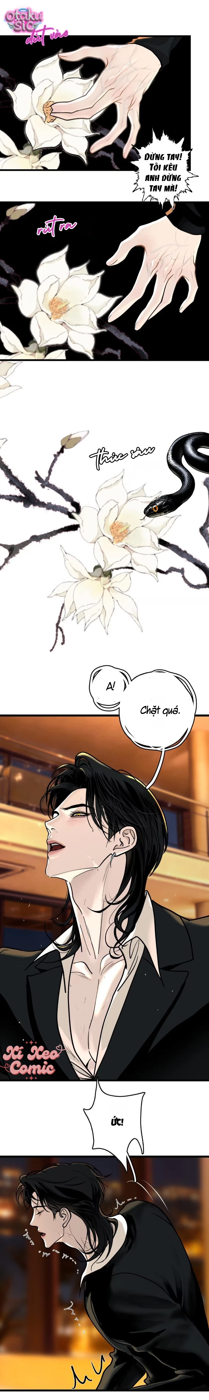 Thiên Niên Chi Luyến - Chap 8 - Trang 1
