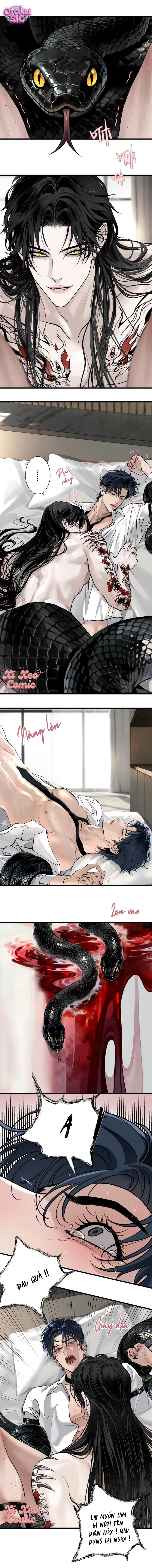 Thiên Niên Chi Luyến - Chap 9 - Trang 1