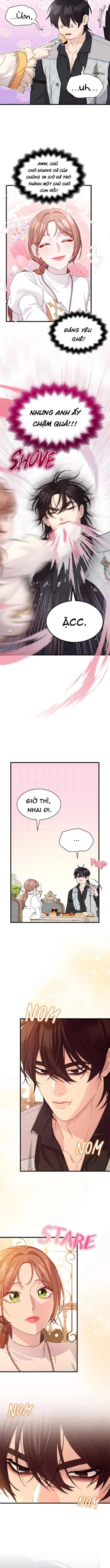 Thuần phục chó điên thành quý ông - Chap 27 - Trang 4