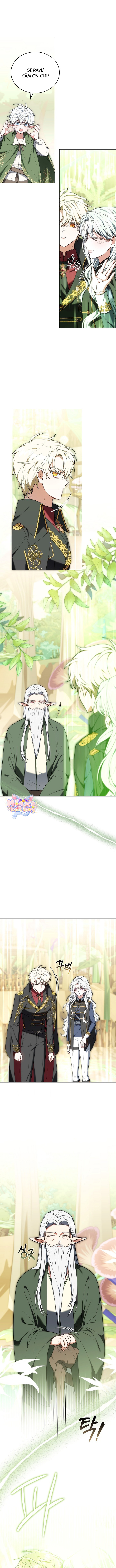 Tiểu Thư Là Kẻ Bám Đuôi - Chap 8 - Trang 14