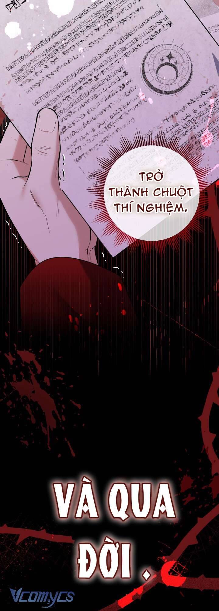 Tiểu Thư Tích Tiền Đi Bụi - Chap 53 - Trang 52