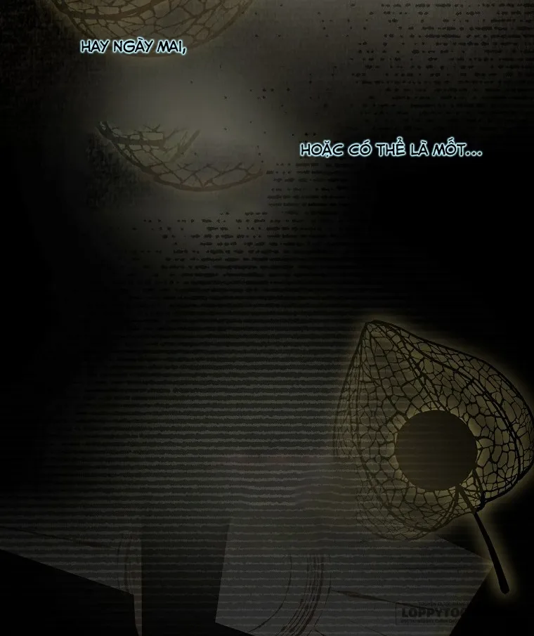 Tìm Một Người Chồng Mới - Chap 4 - Trang 37