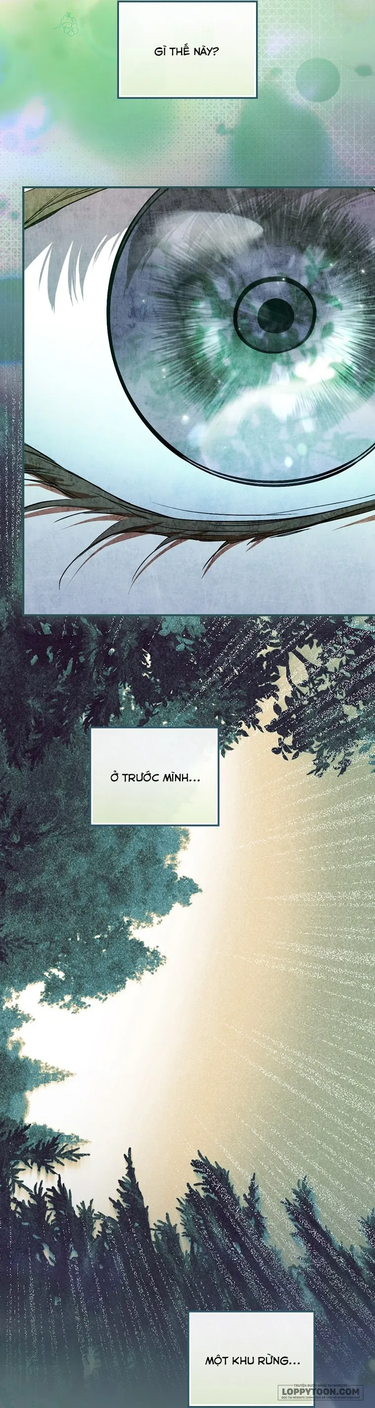 Tìm Một Người Chồng Mới - Chap 8 - Trang 4