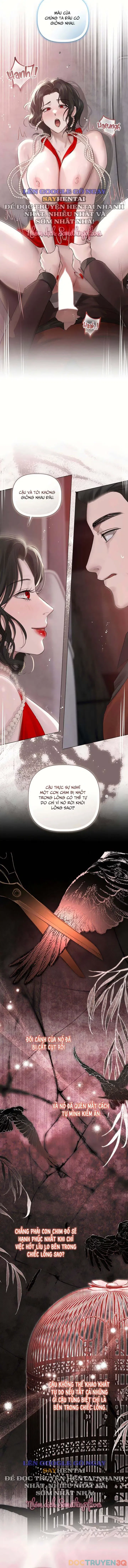 Tình Và Tiền - Chap 40