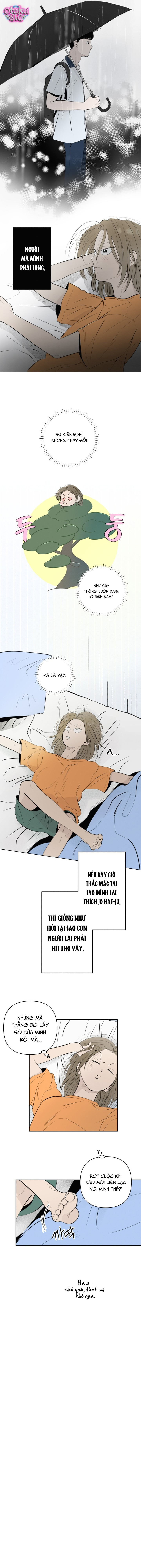 Tình yêu vị cà chua - Chap 15