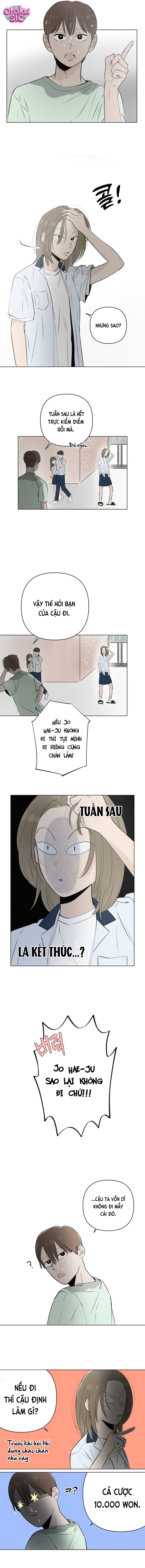Tình yêu vị cà chua - Chap 16