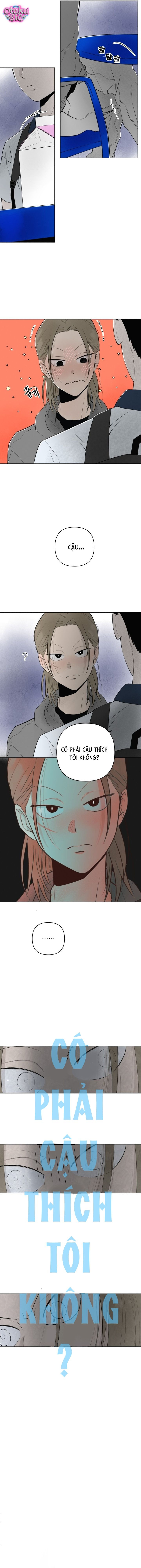 Tình yêu vị cà chua - Chap 19