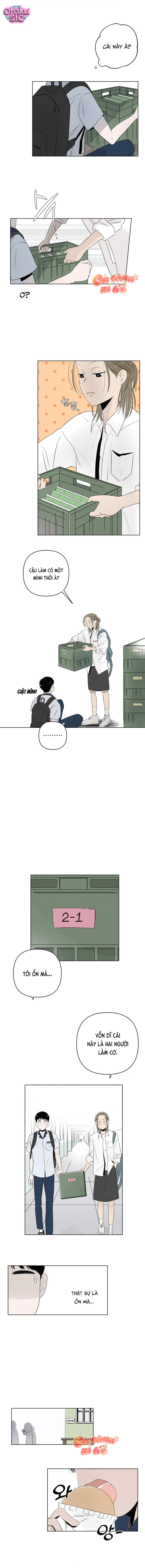 Tình yêu vị cà chua - Chap 2