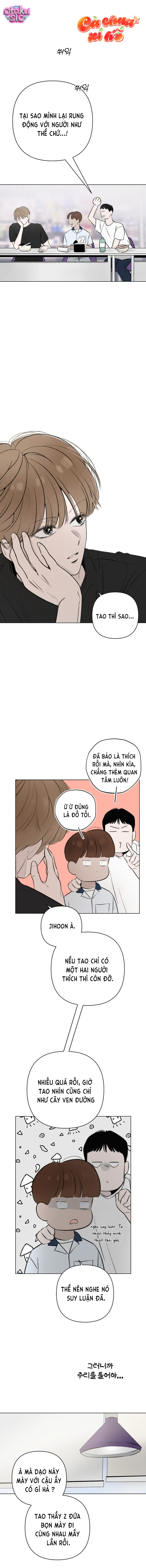 Tình yêu vị cà chua - Chap 21
