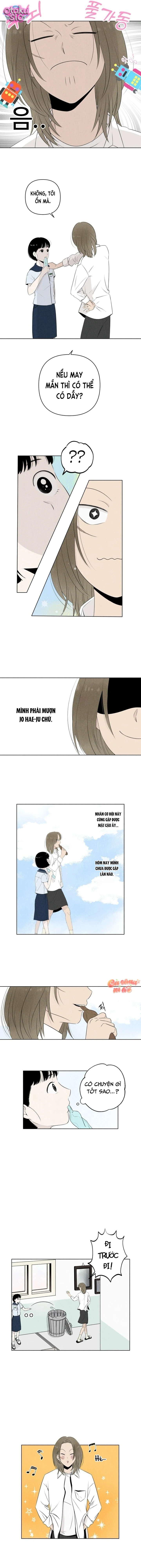 Tình yêu vị cà chua - Chap 4