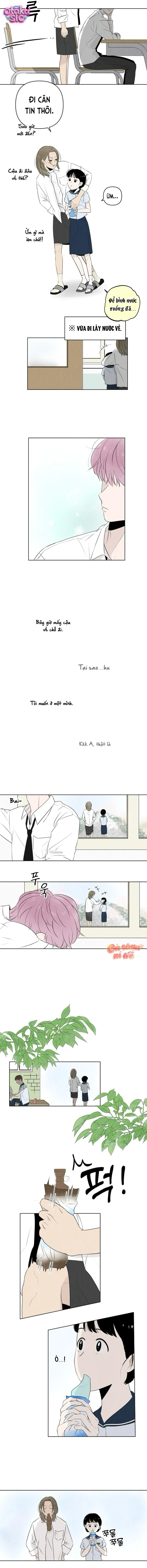 Tình yêu vị cà chua - Chap 4