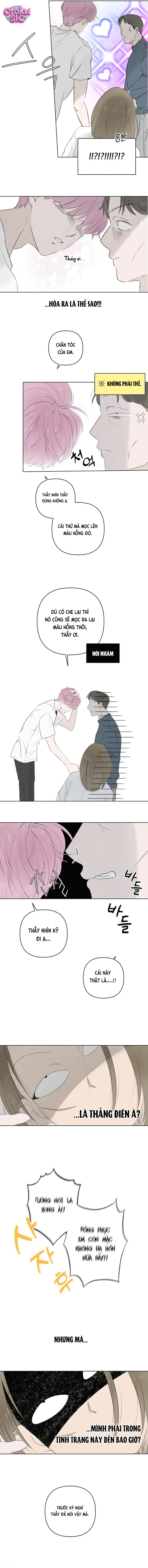 Tình yêu vị cà chua - Chap 5