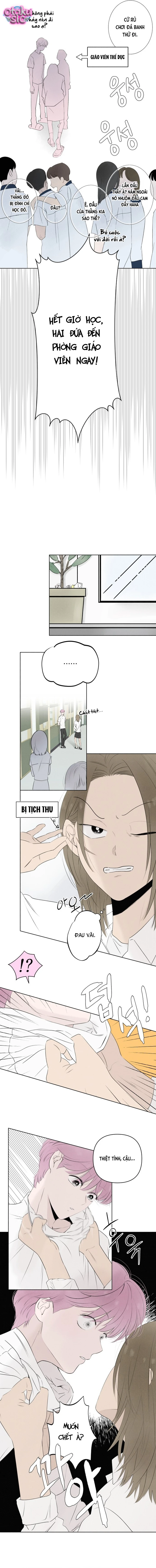 Tình yêu vị cà chua - Chap 5