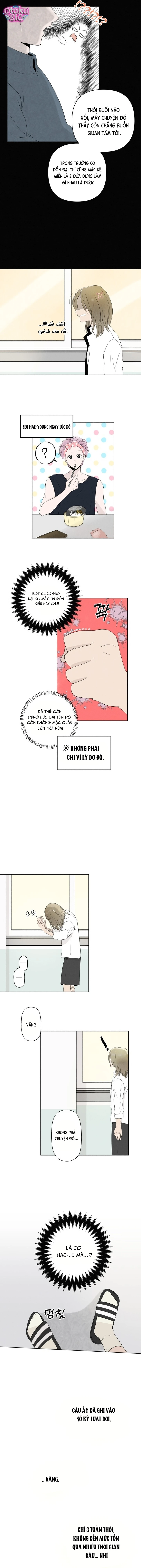 Tình yêu vị cà chua - Chap 6