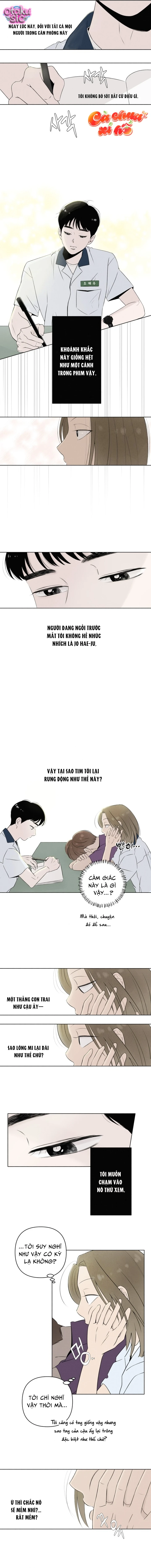Tình yêu vị cà chua - Chap 7