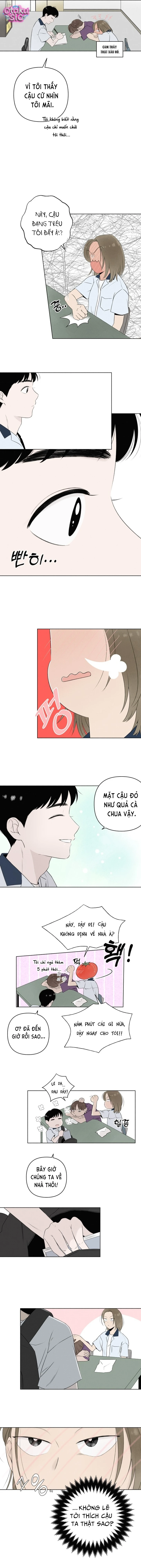 Tình yêu vị cà chua - Chap 7